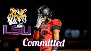 GOOD NEWS: The highly anticipated Netflix documentary about LSU football is sure to…